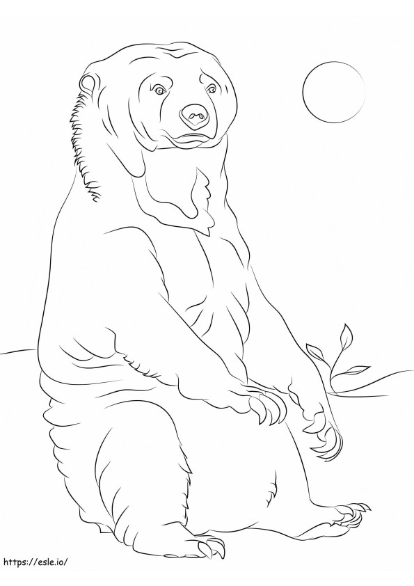 Free Sun Bear coloring page