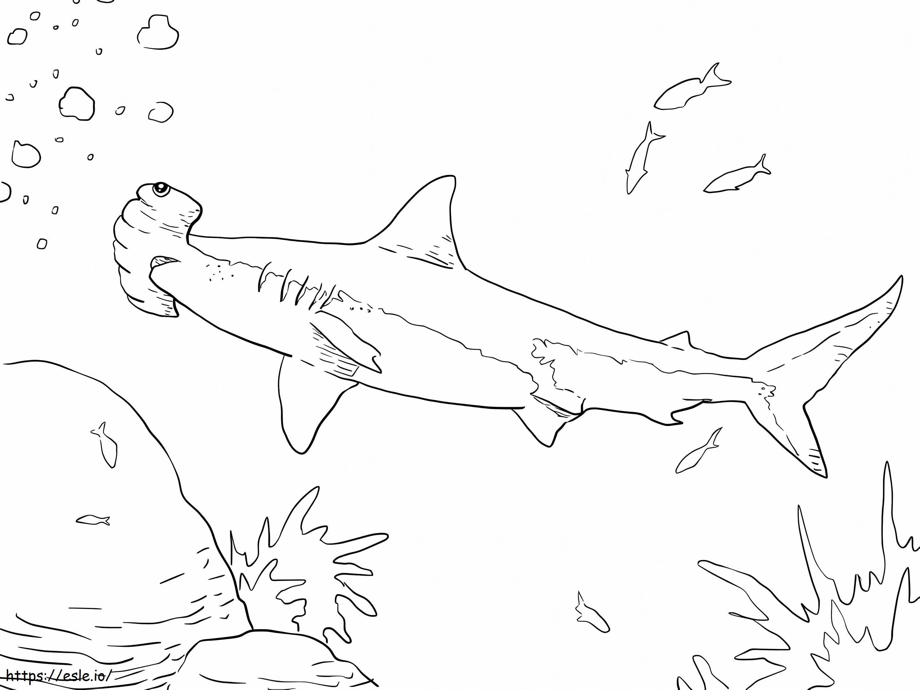 Büyük Çekiçbaşlı Köpekbalığı boyama
