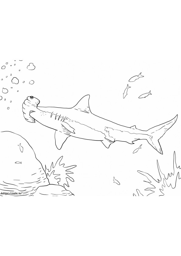Coloriage Grand requin marteau à imprimer dessin