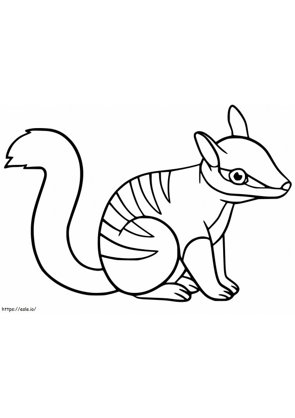 Cute Numbat coloring page