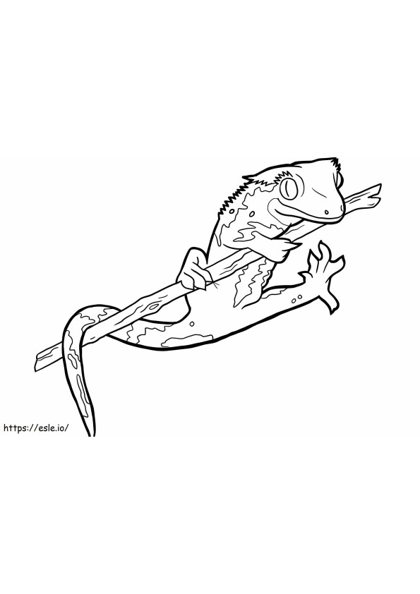 Salamander Gambar Mewarnai