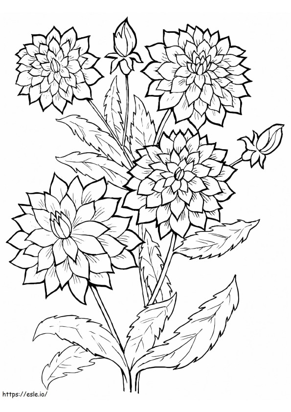 Mooie Dahliabloemen kleurplaat
