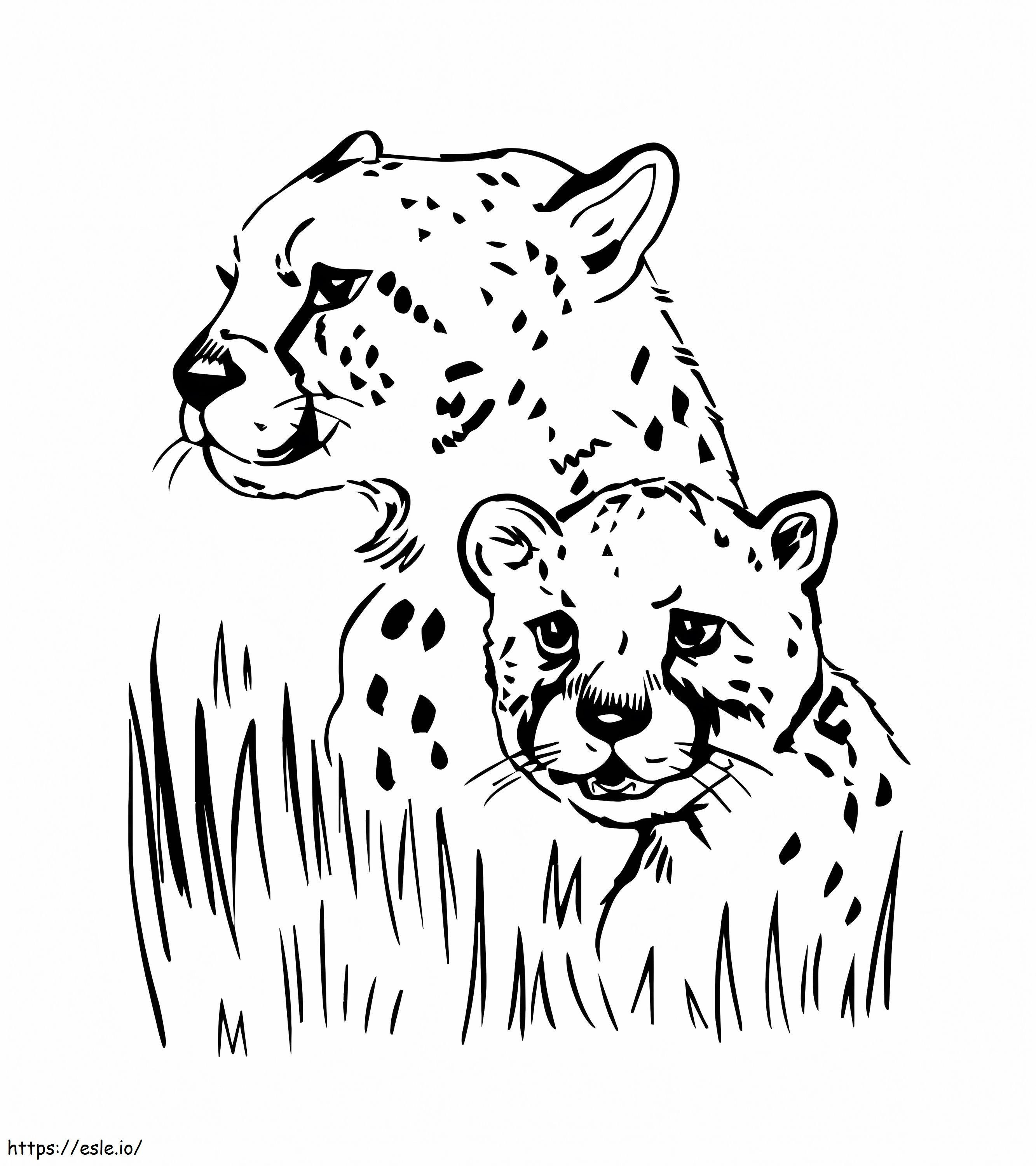 Dwa portrety Jaguara kolorowanka