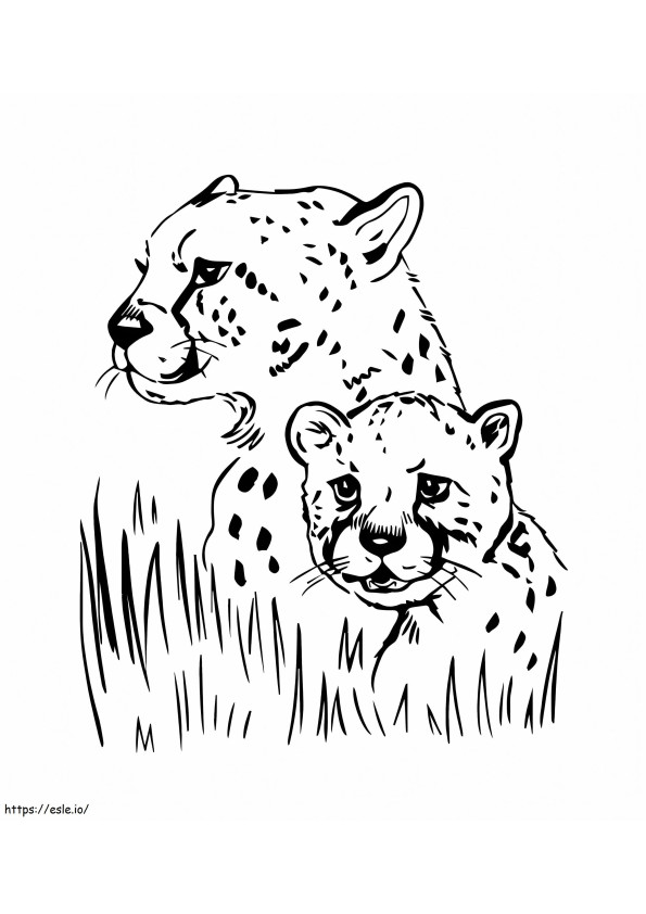Twee Jaguar-portretten kleurplaat