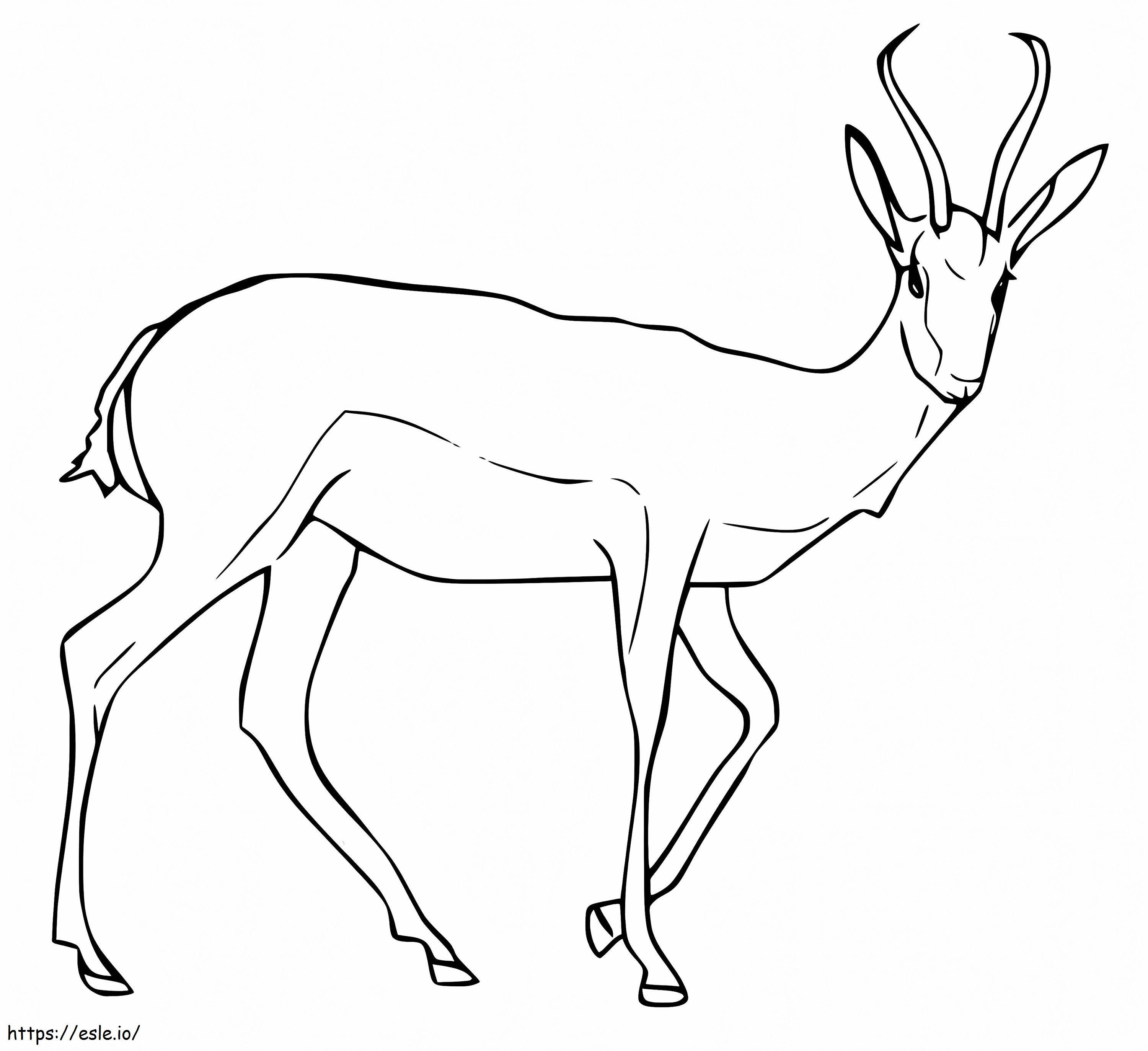 Gazelli 5 värityskuva