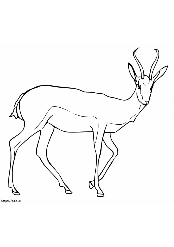 Coloriage Gazelles 5 à imprimer dessin