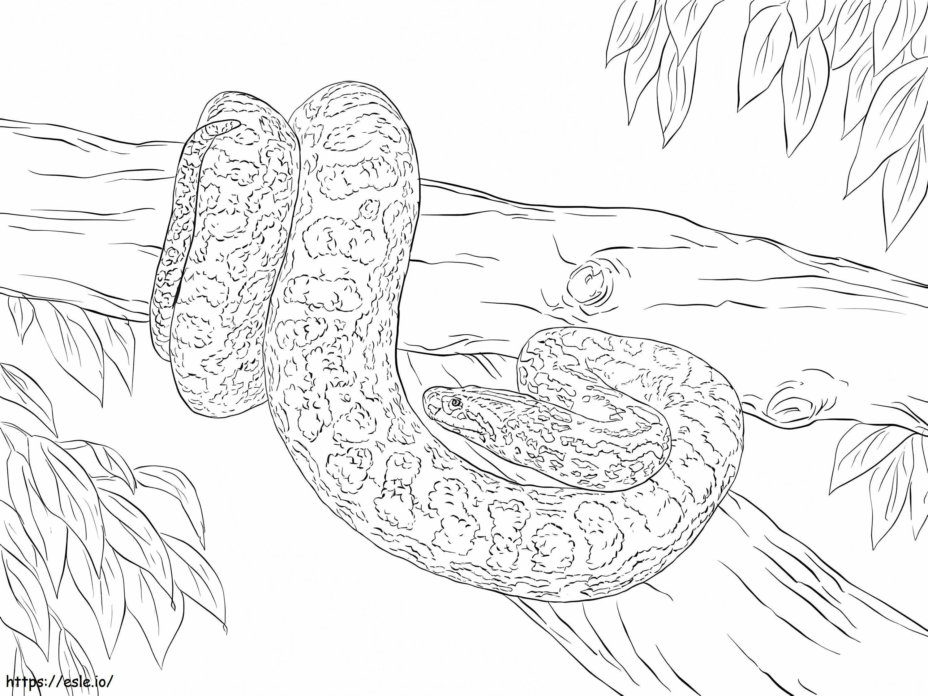 Coloriage Anaconda jaune sur branche à imprimer dessin