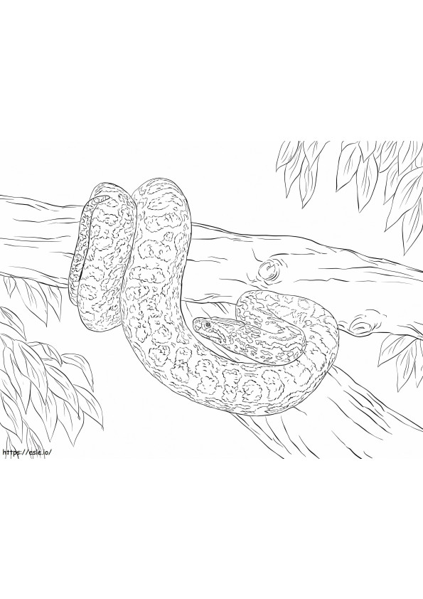 Anaconda Gialla Sul Ramo da colorare