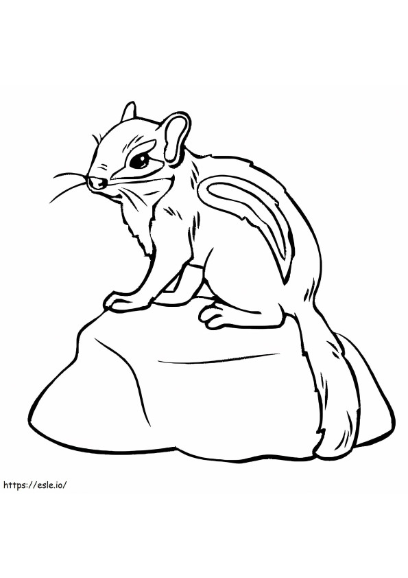 Chipmunk On A Rock coloring page