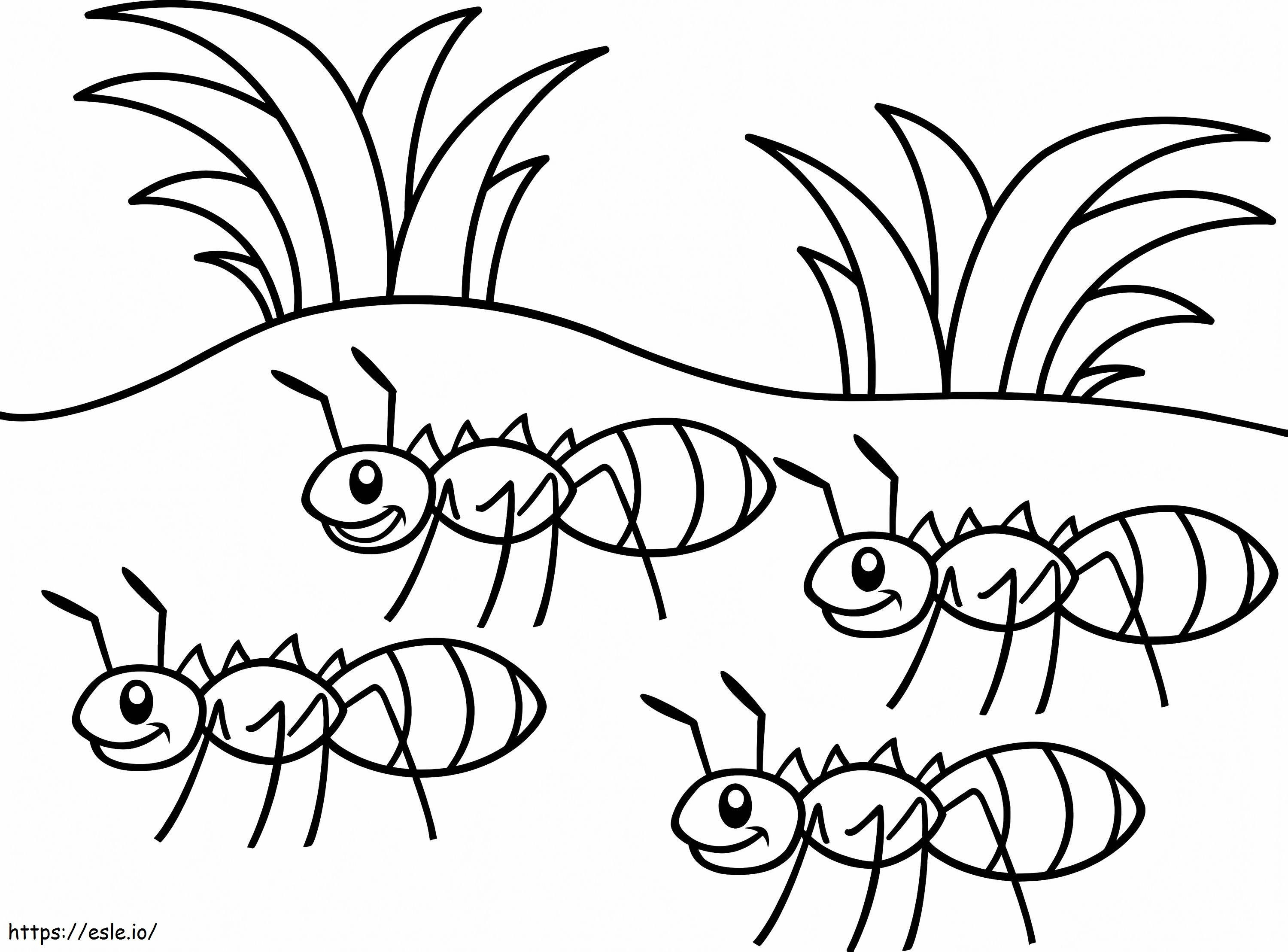 Coloriage Quatre fourmis à imprimer dessin