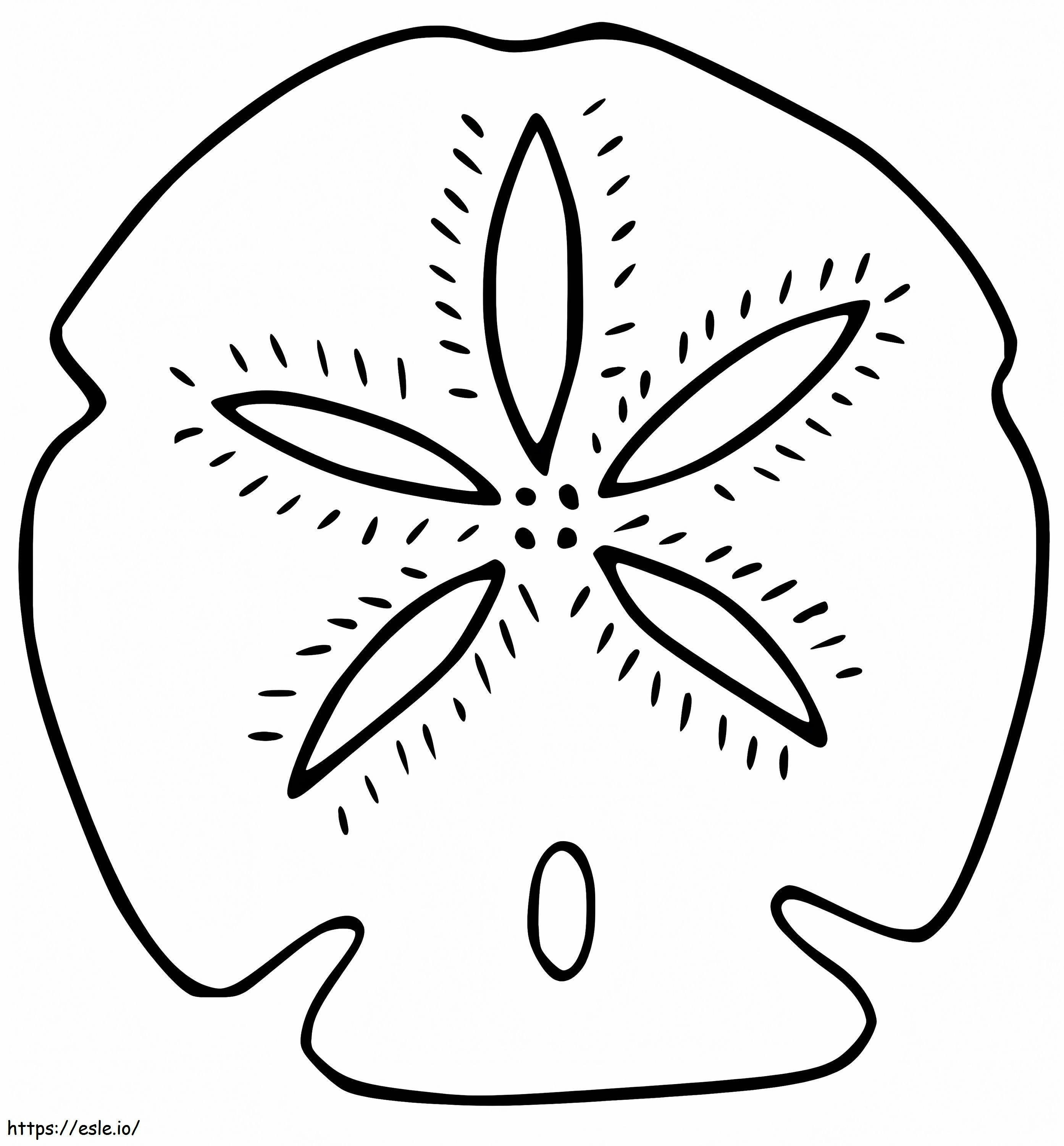 Sand Dollar 4 coloring page