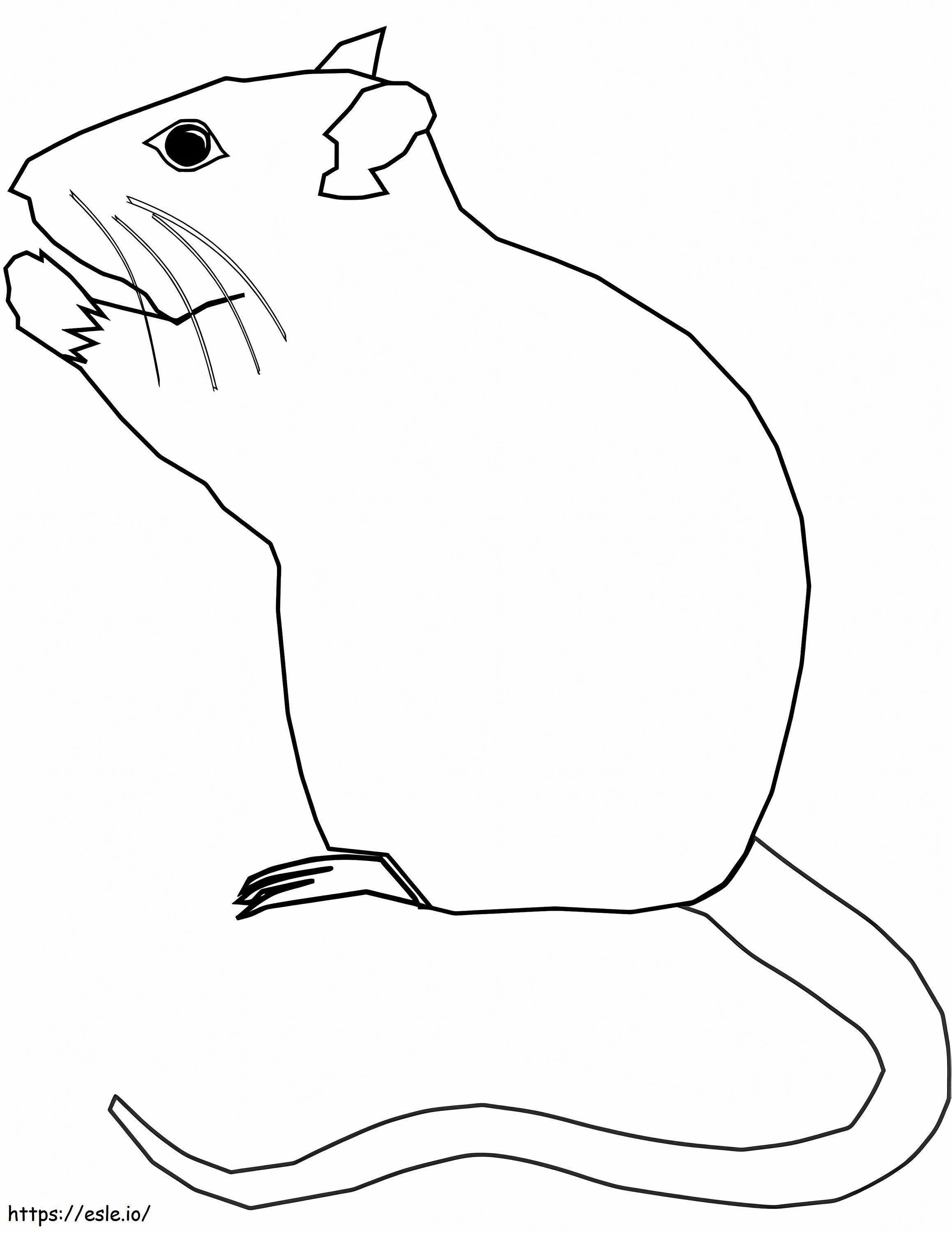 Coloriage Rat simple à imprimer dessin