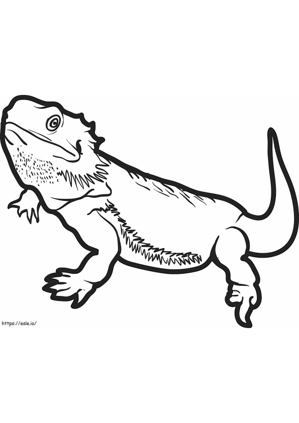 Normal Lizard coloring page