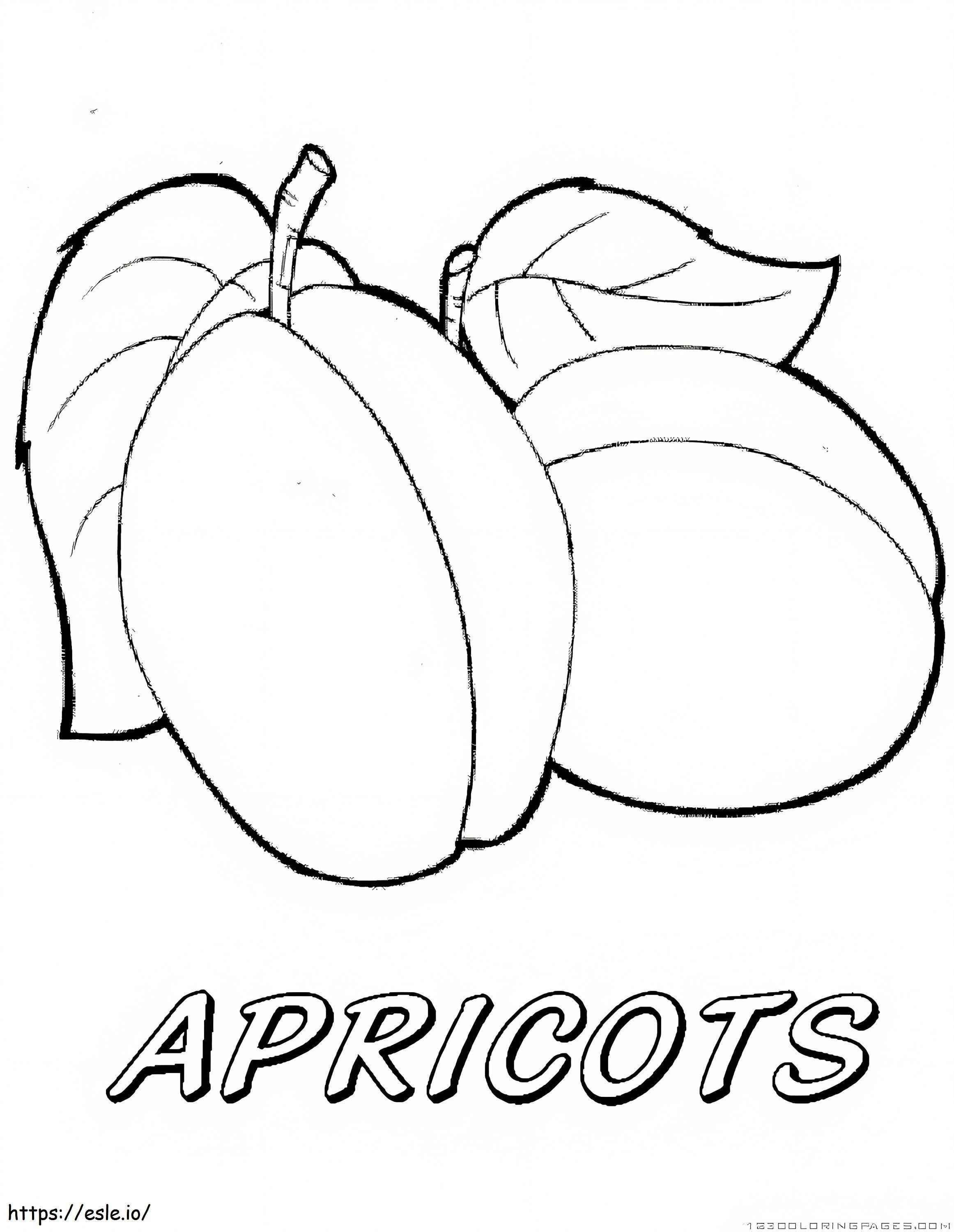 Apricot 6 coloring page