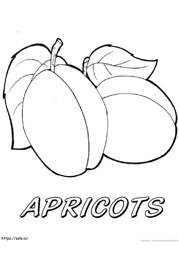 Coloriage Abricot 6 à imprimer dessin