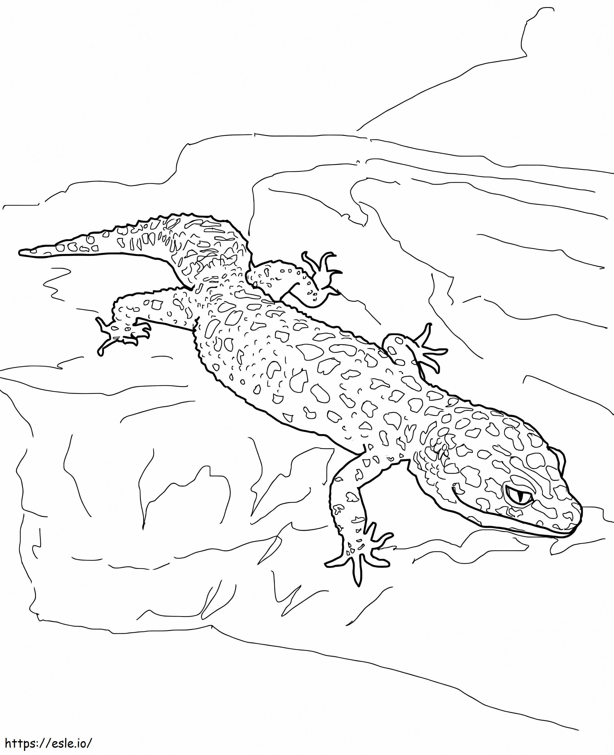 Gecko Leopard coloring page