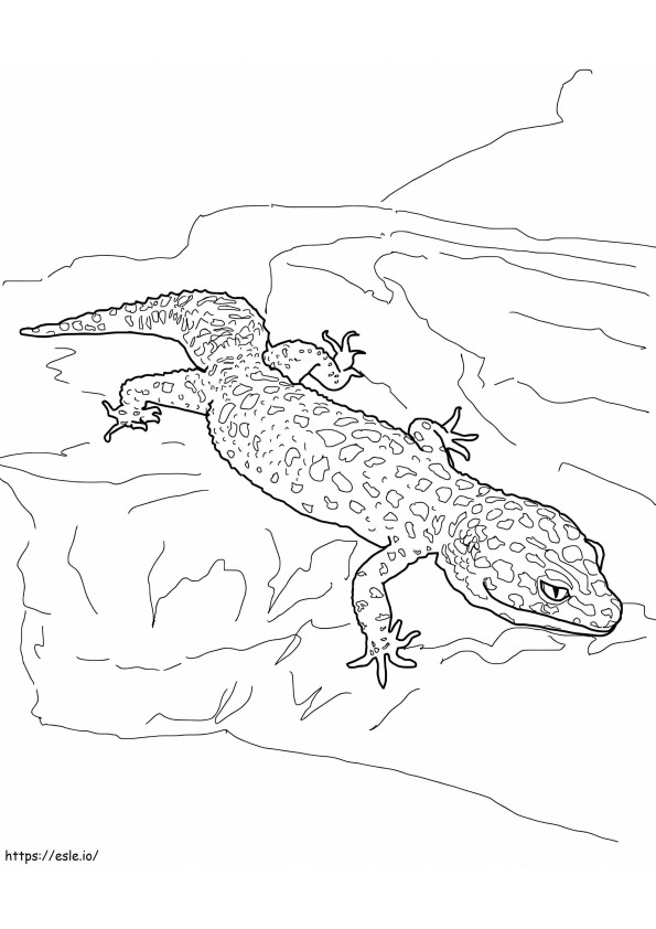 Gecko-Leopard ausmalbilder