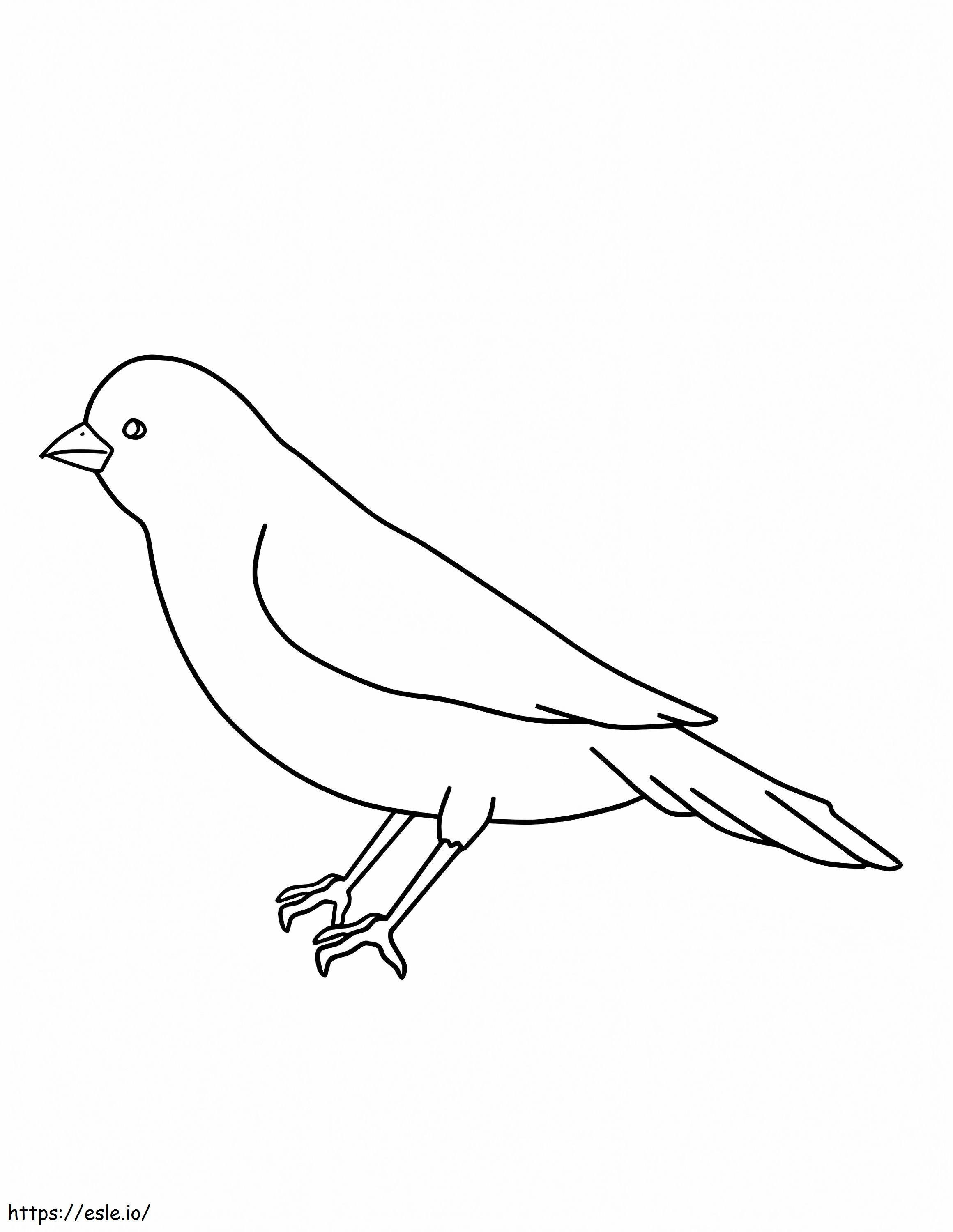 Canary Bird Scheme coloring page