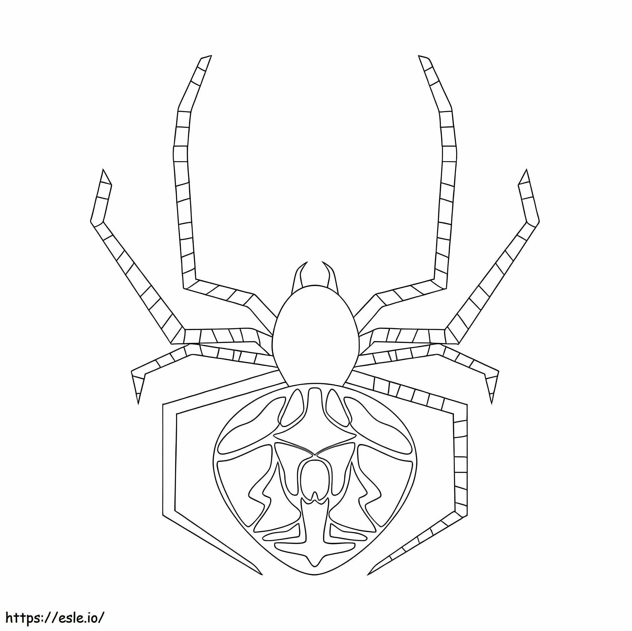 Jumping Spider coloring page