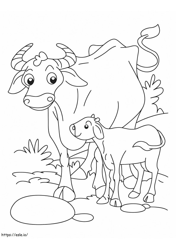 Mother Buffalo And Baby Buffalo coloring page