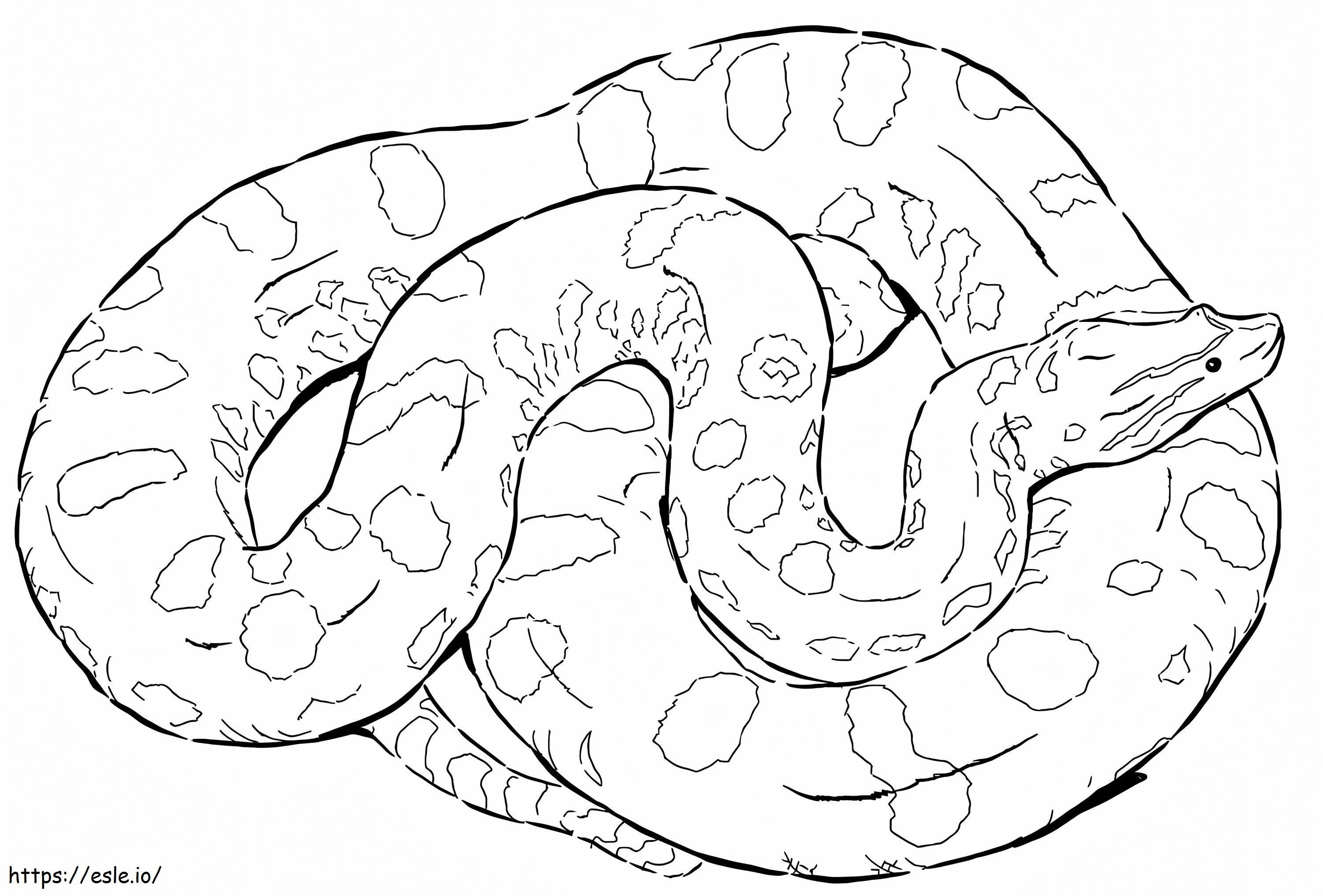 Uma Anaconda Verde para colorir