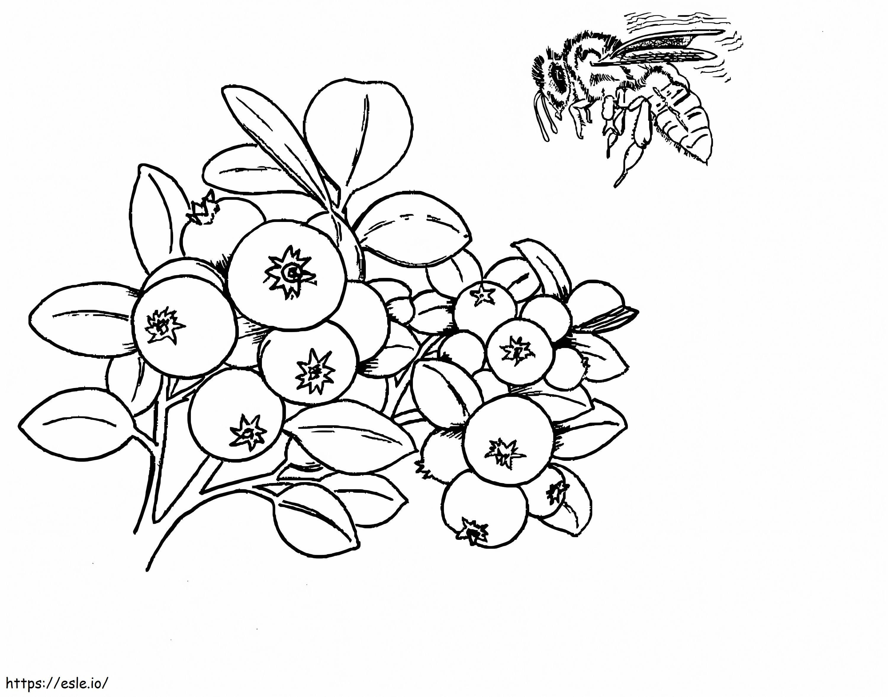 Brombeere und Biene ausmalbilder