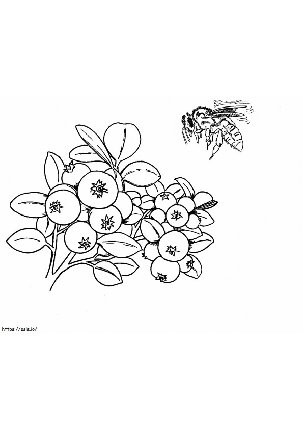 ブラックベリーとミツバチ ぬりえ - 塗り絵