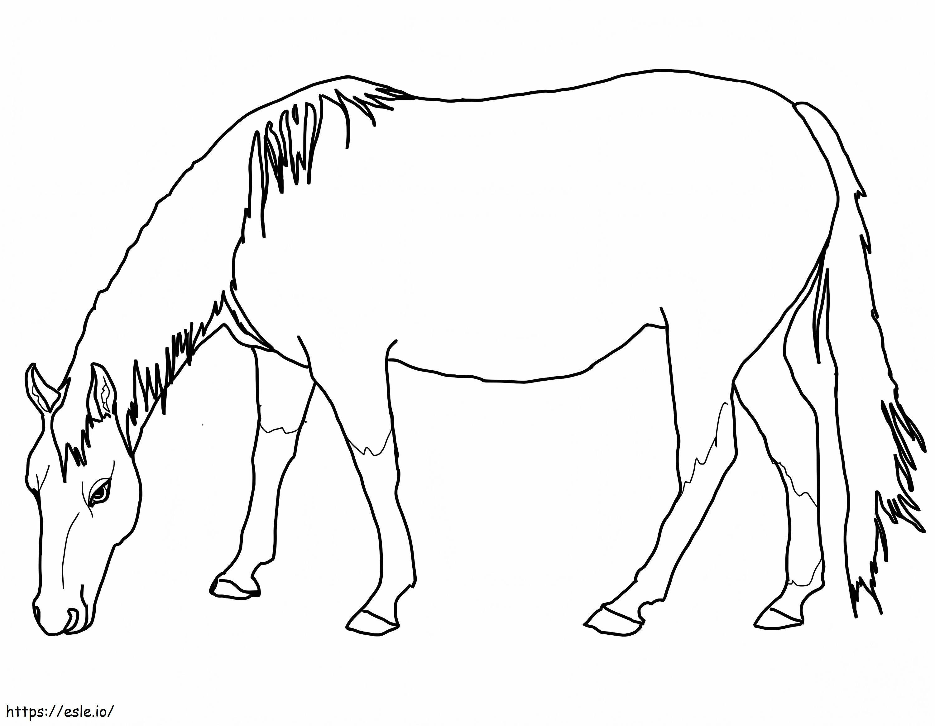 Cavalo Quarto de Milha Americano para colorir