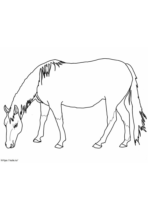 American Quarter Horse de colorat
