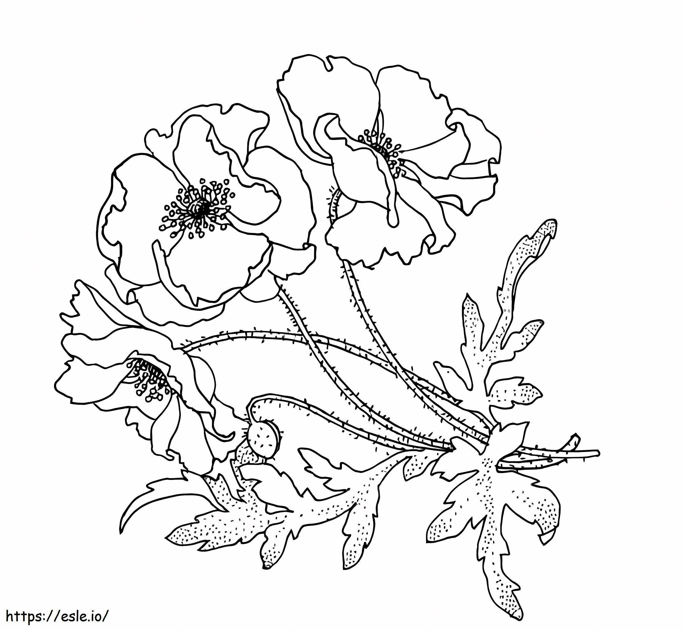 Gladiolus Flowers 15 coloring page