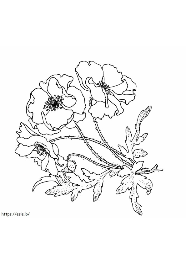 Gladiolus Flowers 15 coloring page
