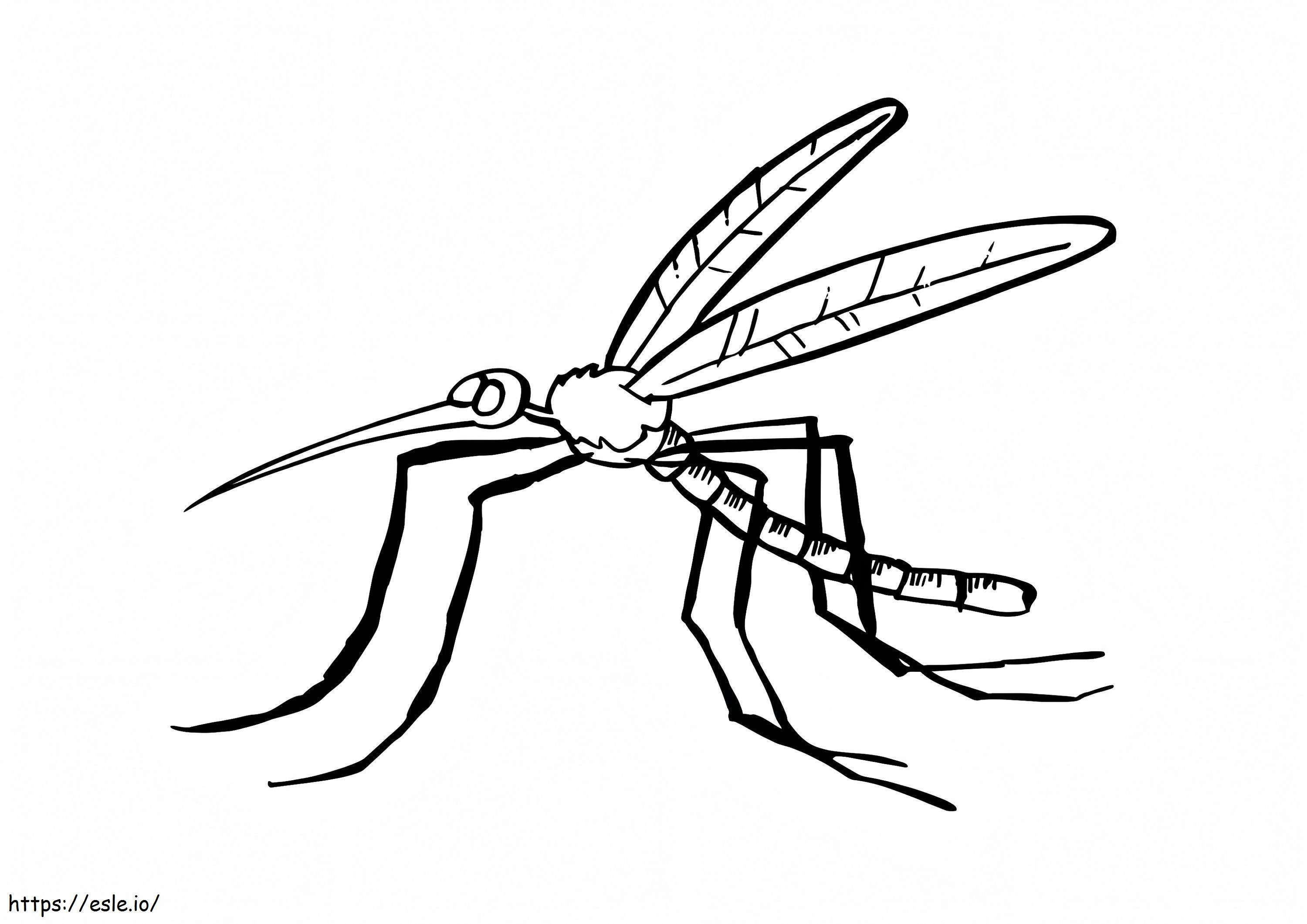 蚊 3 ぬりえ - 塗り絵