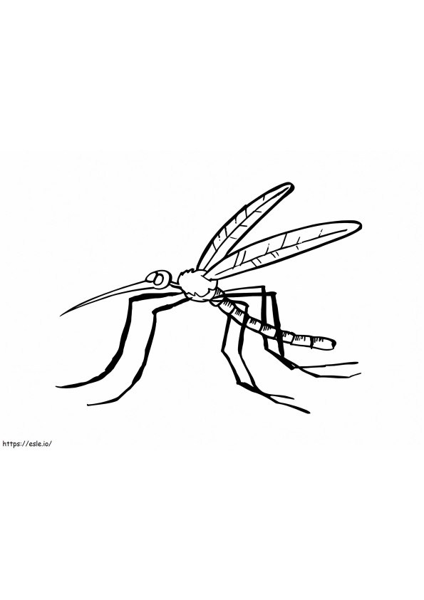 Mosquito 3 coloring page