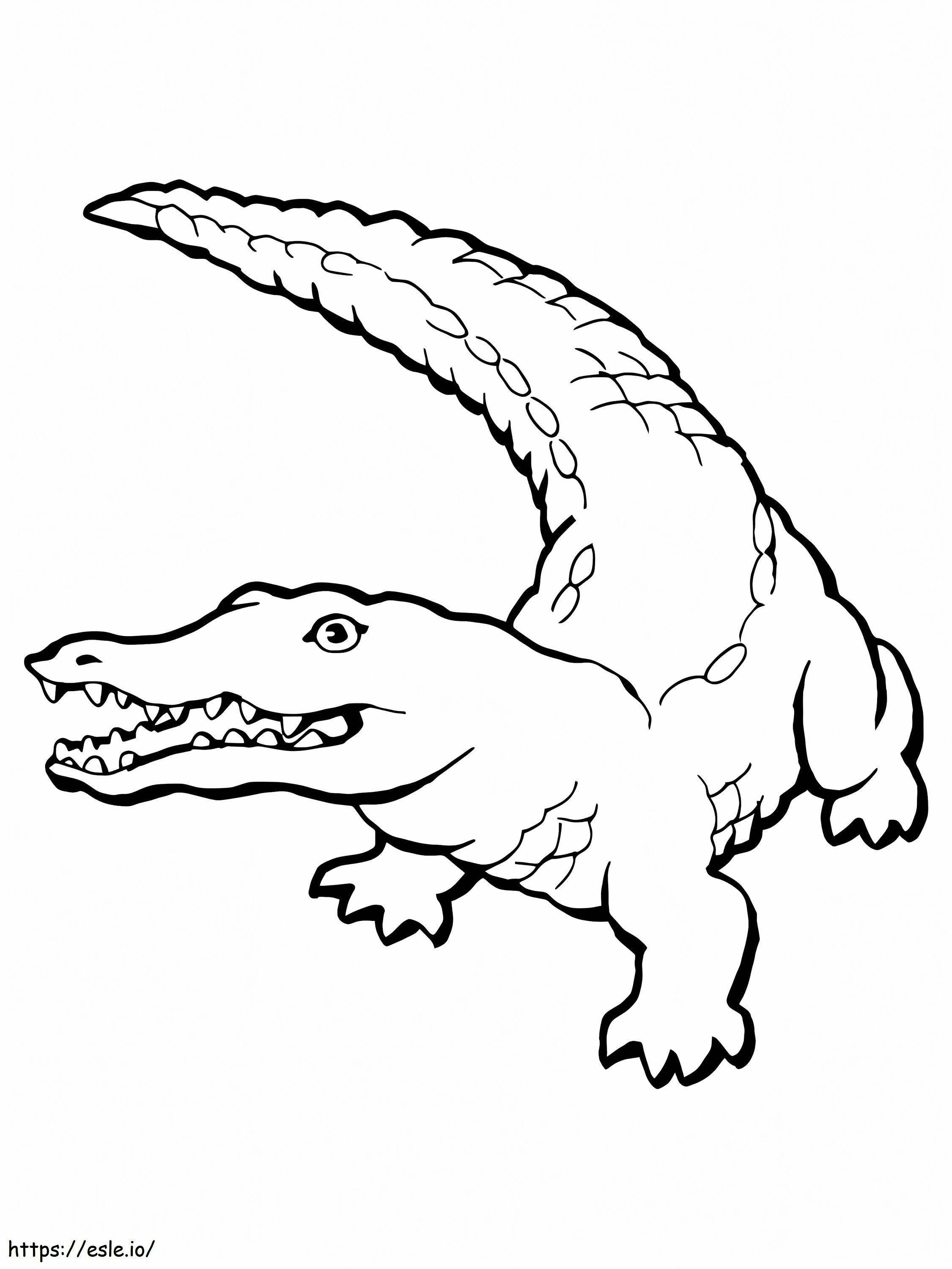Printable Crocodile coloring page