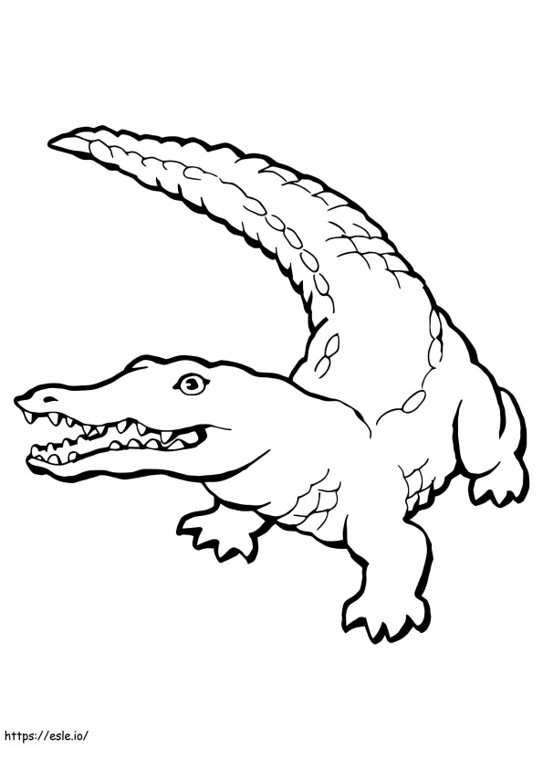 Printable Crocodile coloring page