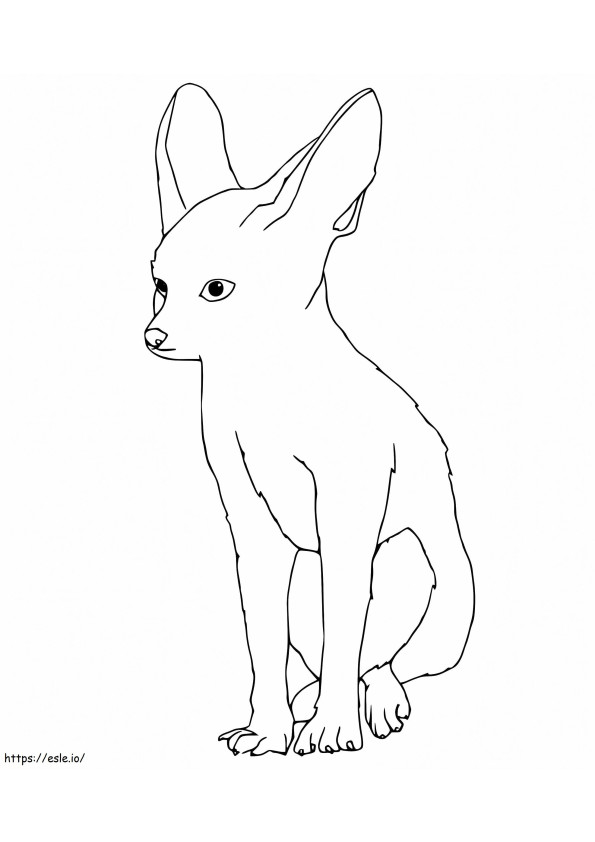 Nyomtatható Fennec Fox kifestő