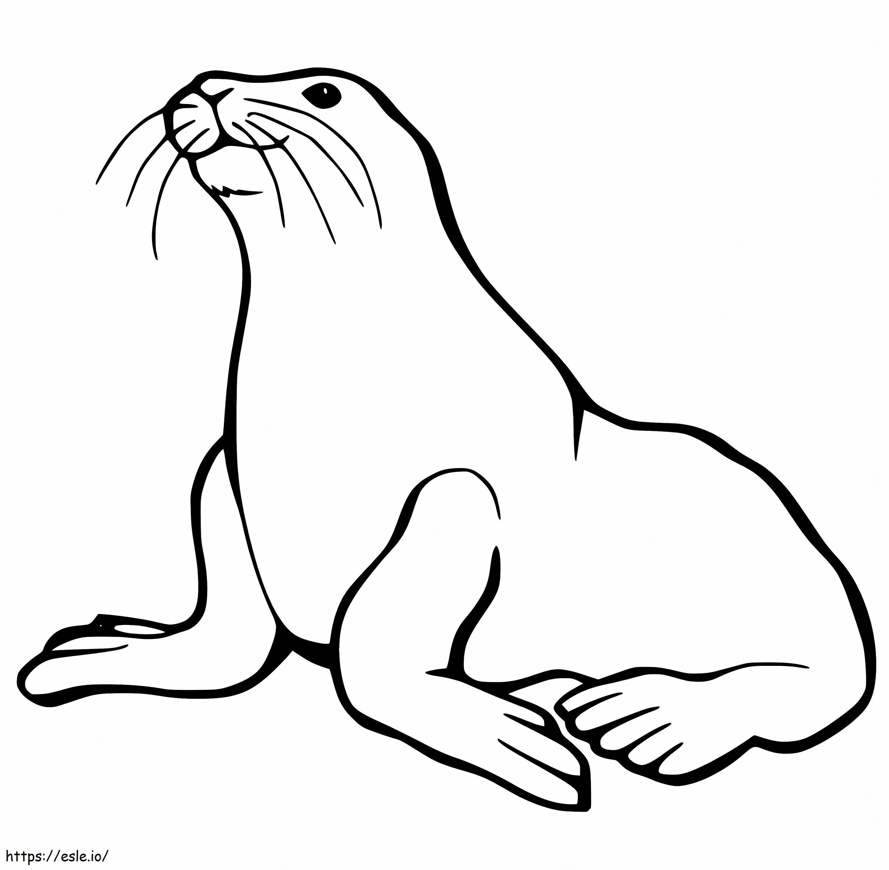 Free Printable Sea Lion coloring page