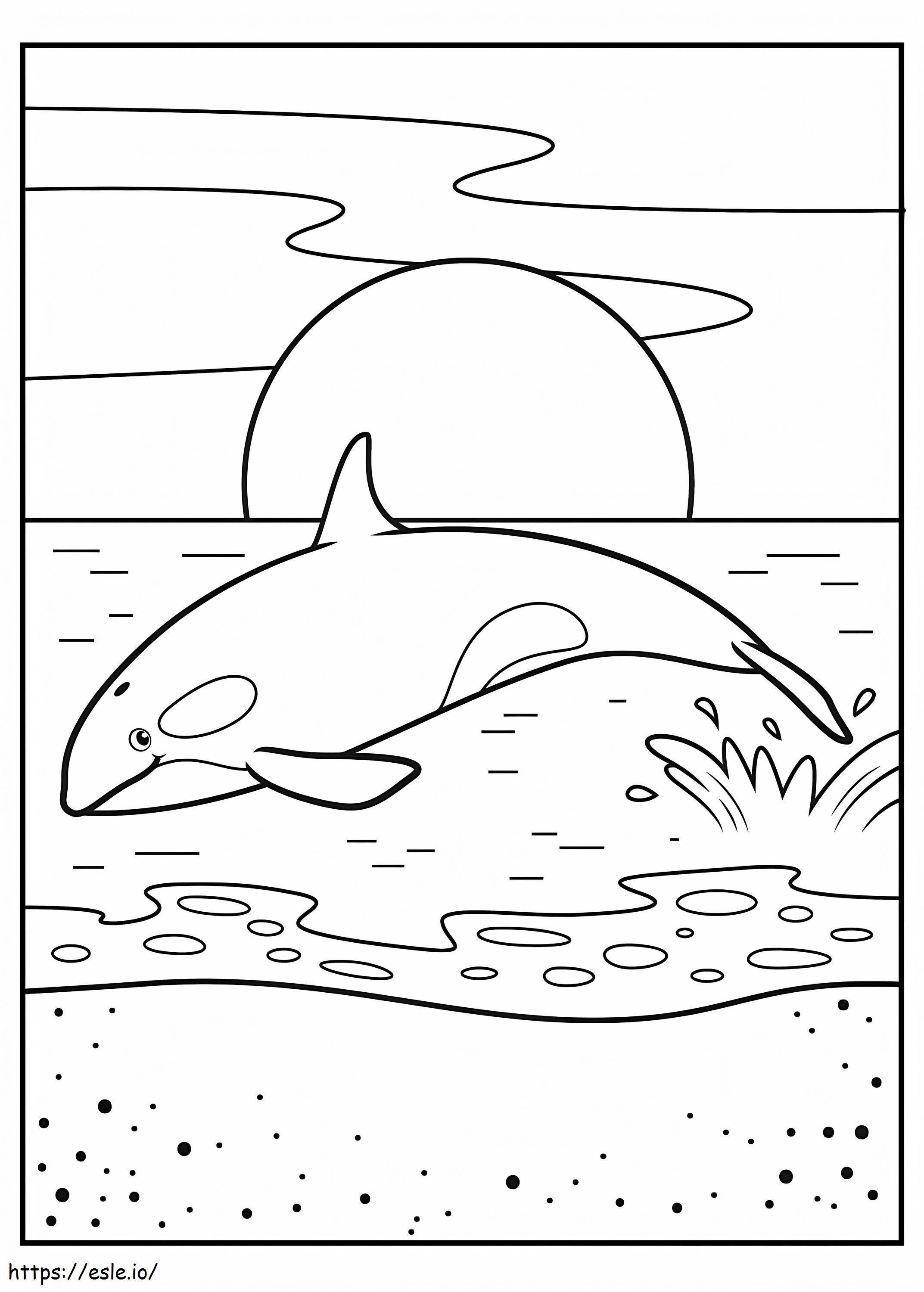 Saltul balenei ucigașe de colorat