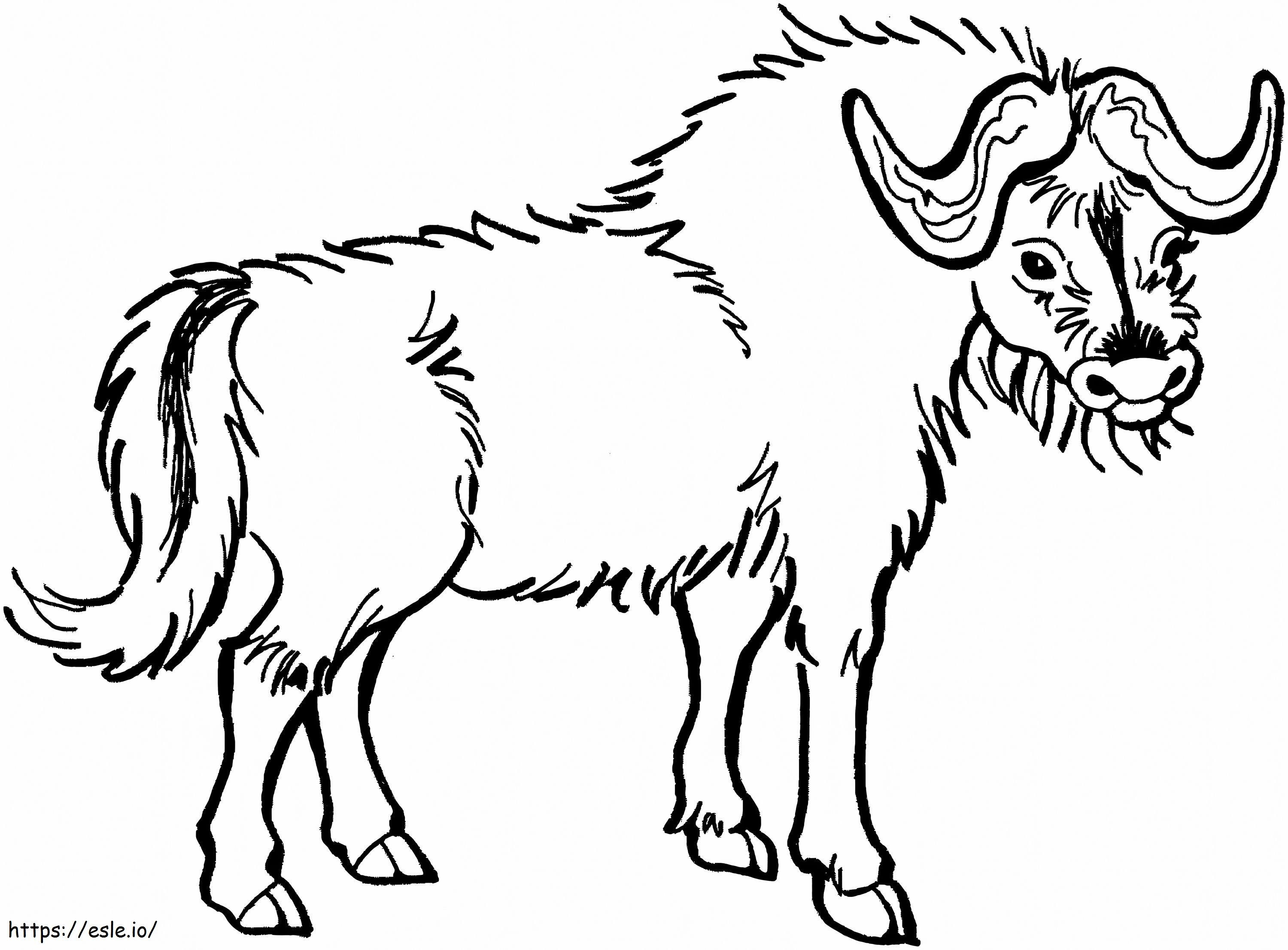 Disegno a mano di bufalo da colorare