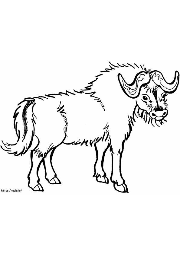 Dibujar a mano de búfalo para colorear