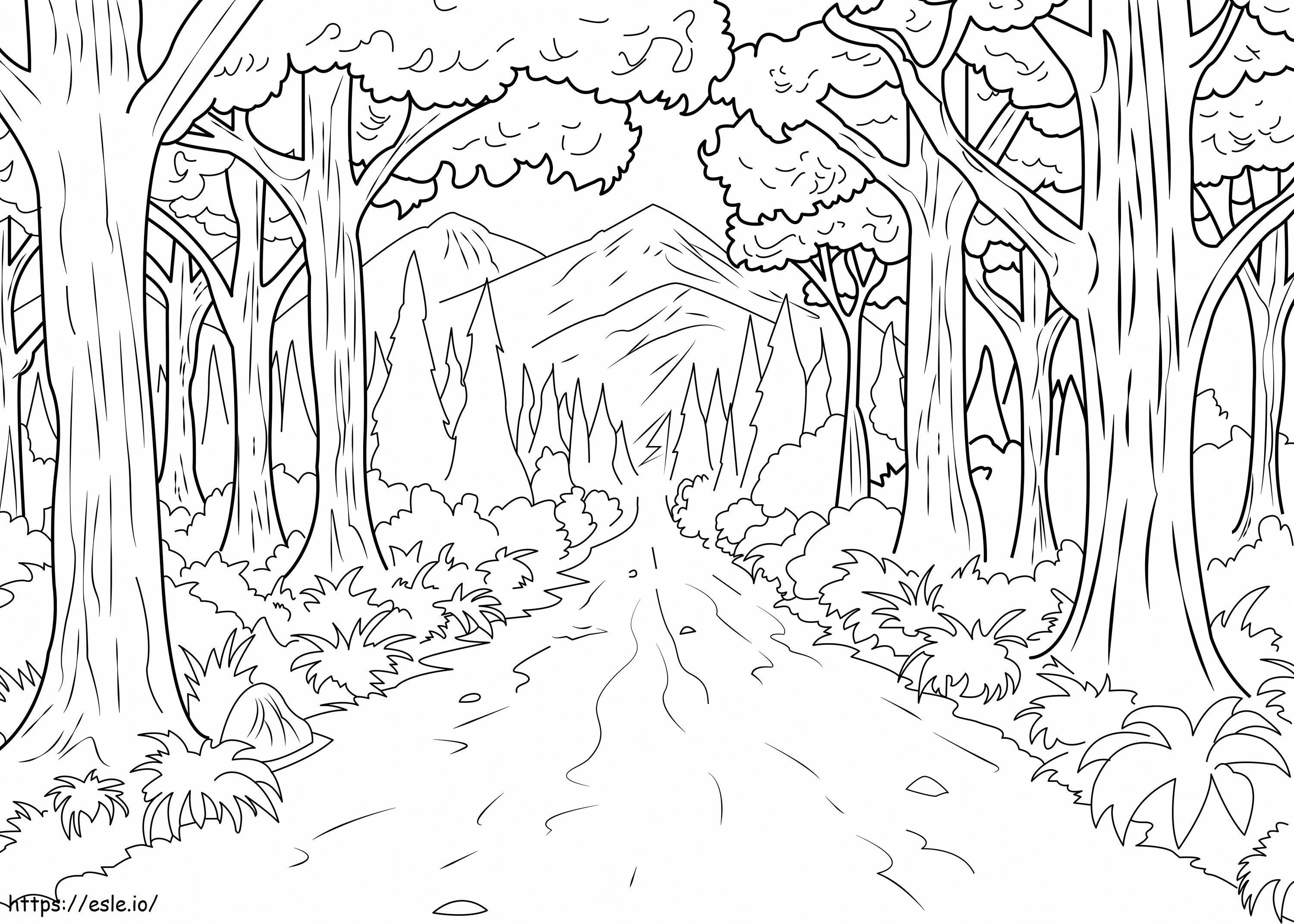 1540180579 Desen de pădure ușor 1 la scară 2 de colorat