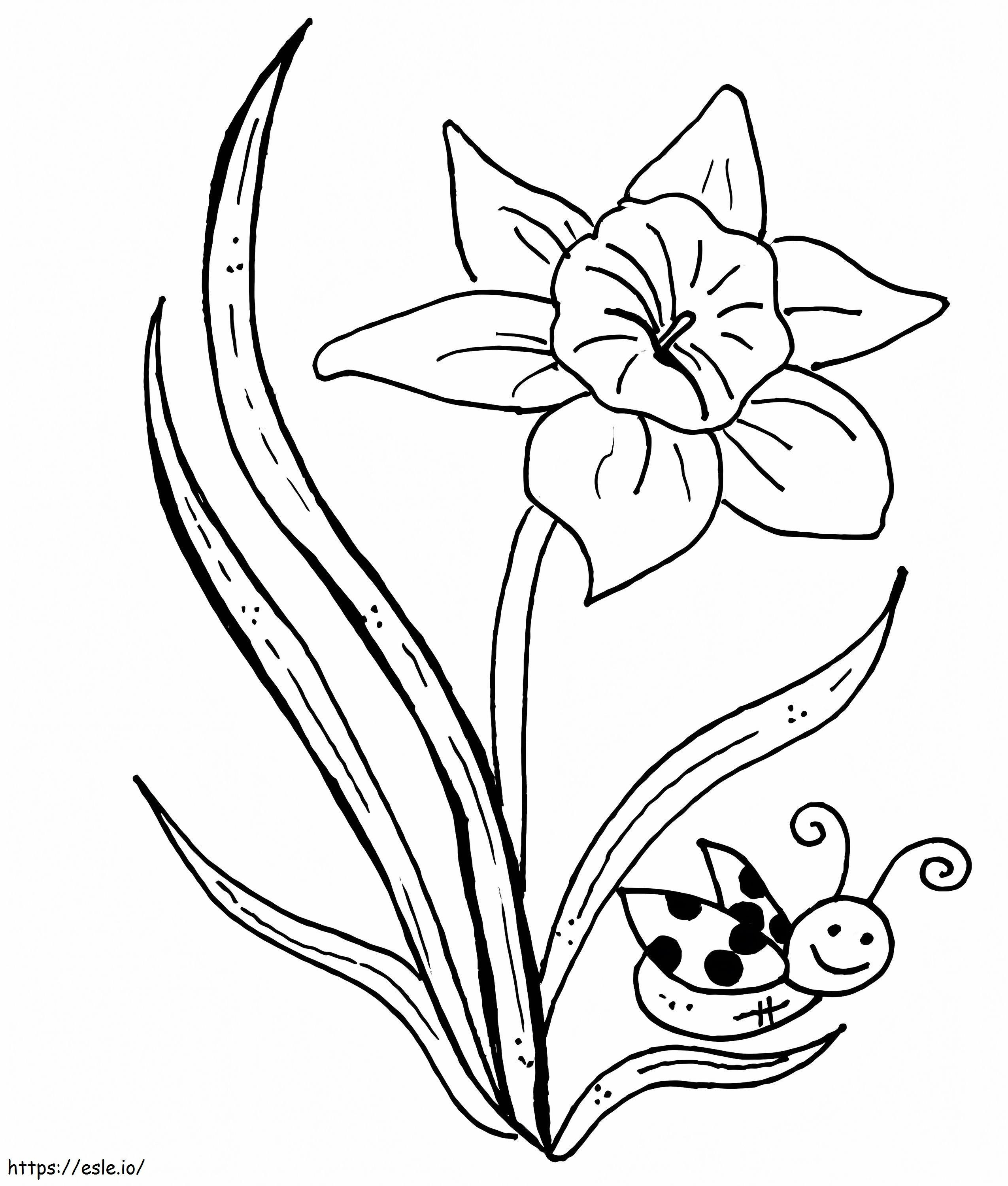 Coloriage Narcisse et abeille à imprimer dessin
