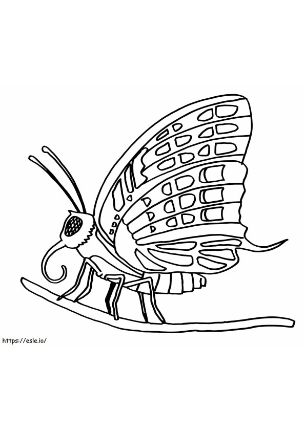Vlinder Op Een Tak kleurplaat