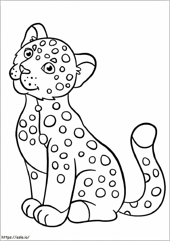 Little Jaguar Sitting