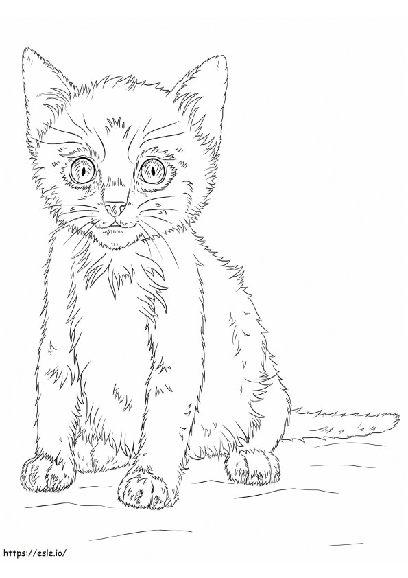 1585040054 Kittenha coloring page