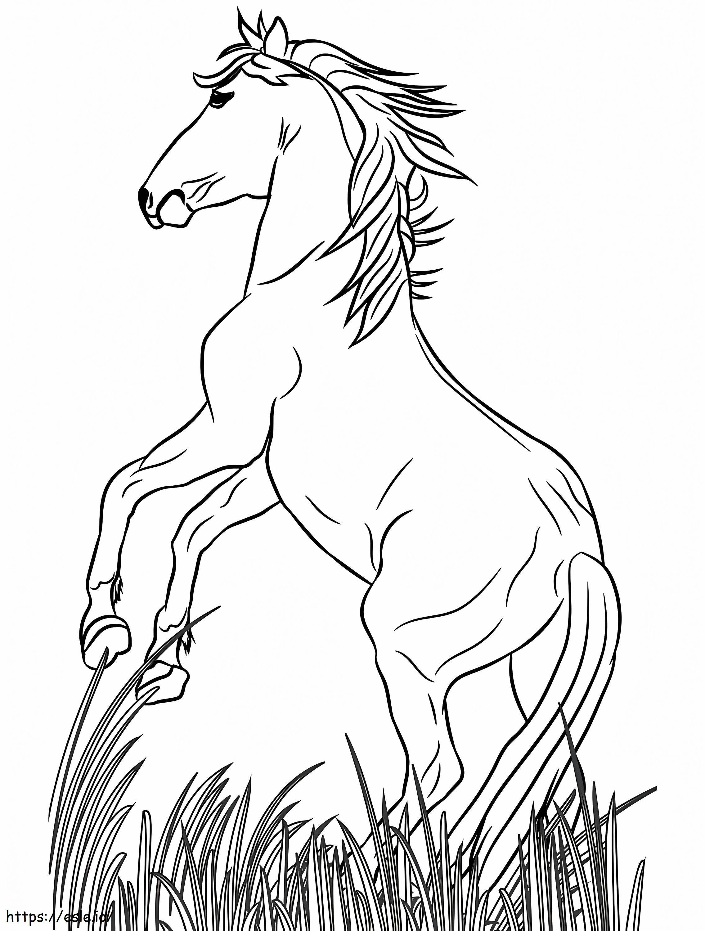 Horse On Grass coloring page