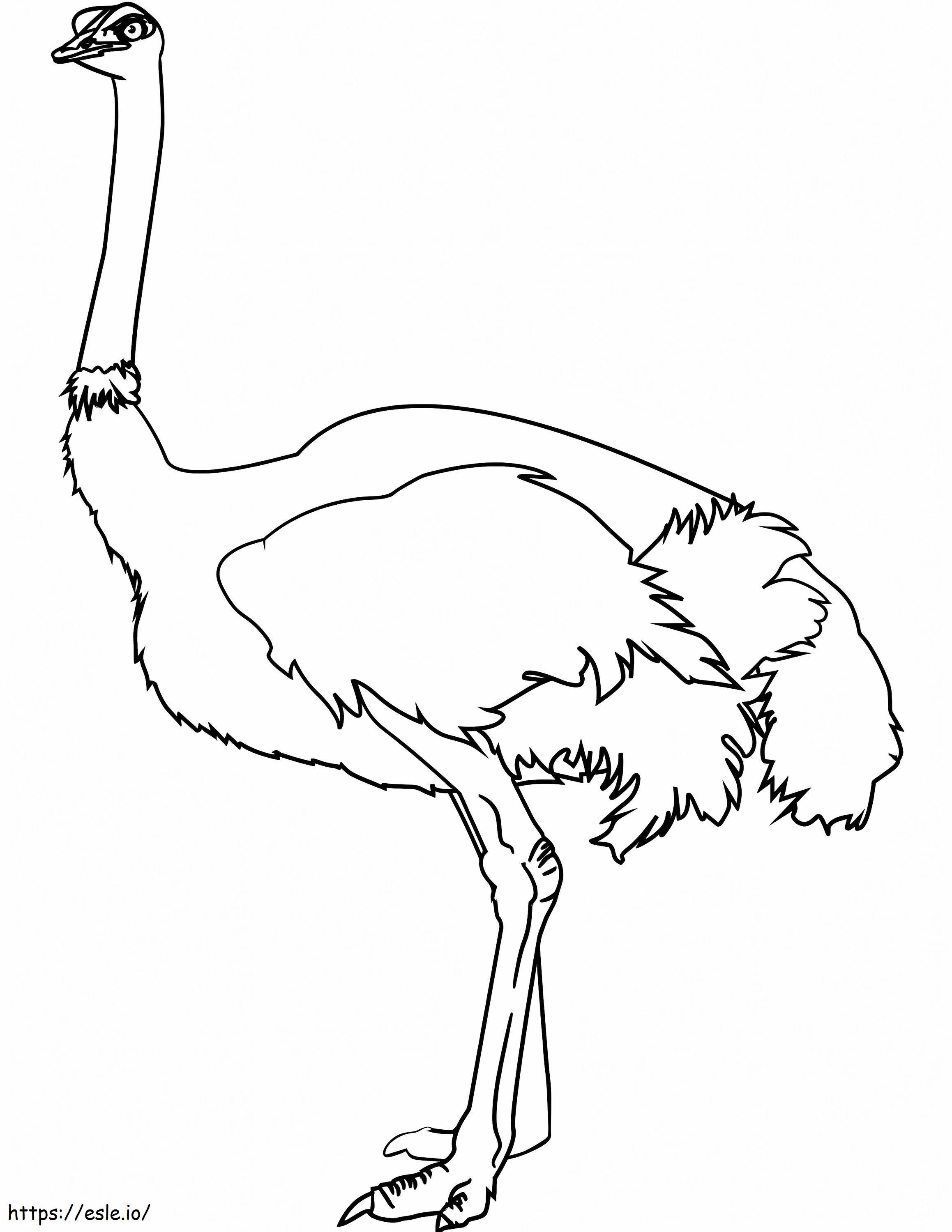 Normale Struisvogel kleurplaat kleurplaat