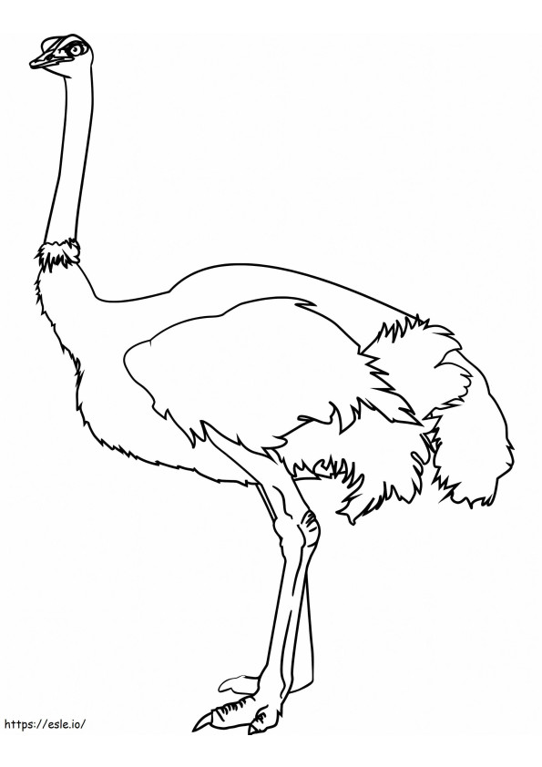 Normale Struisvogel kleurplaat