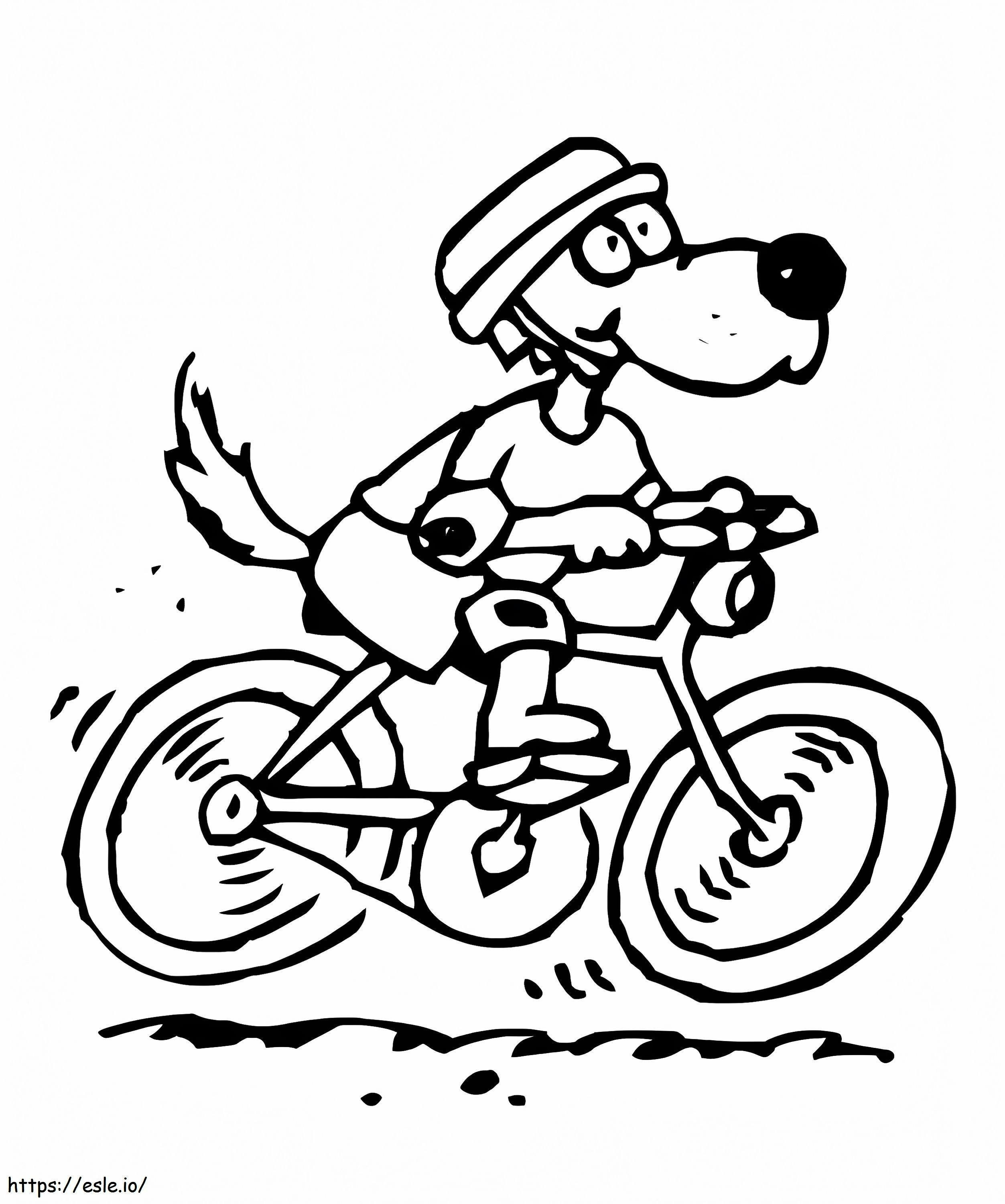 Pies na rowerze kolorowanka