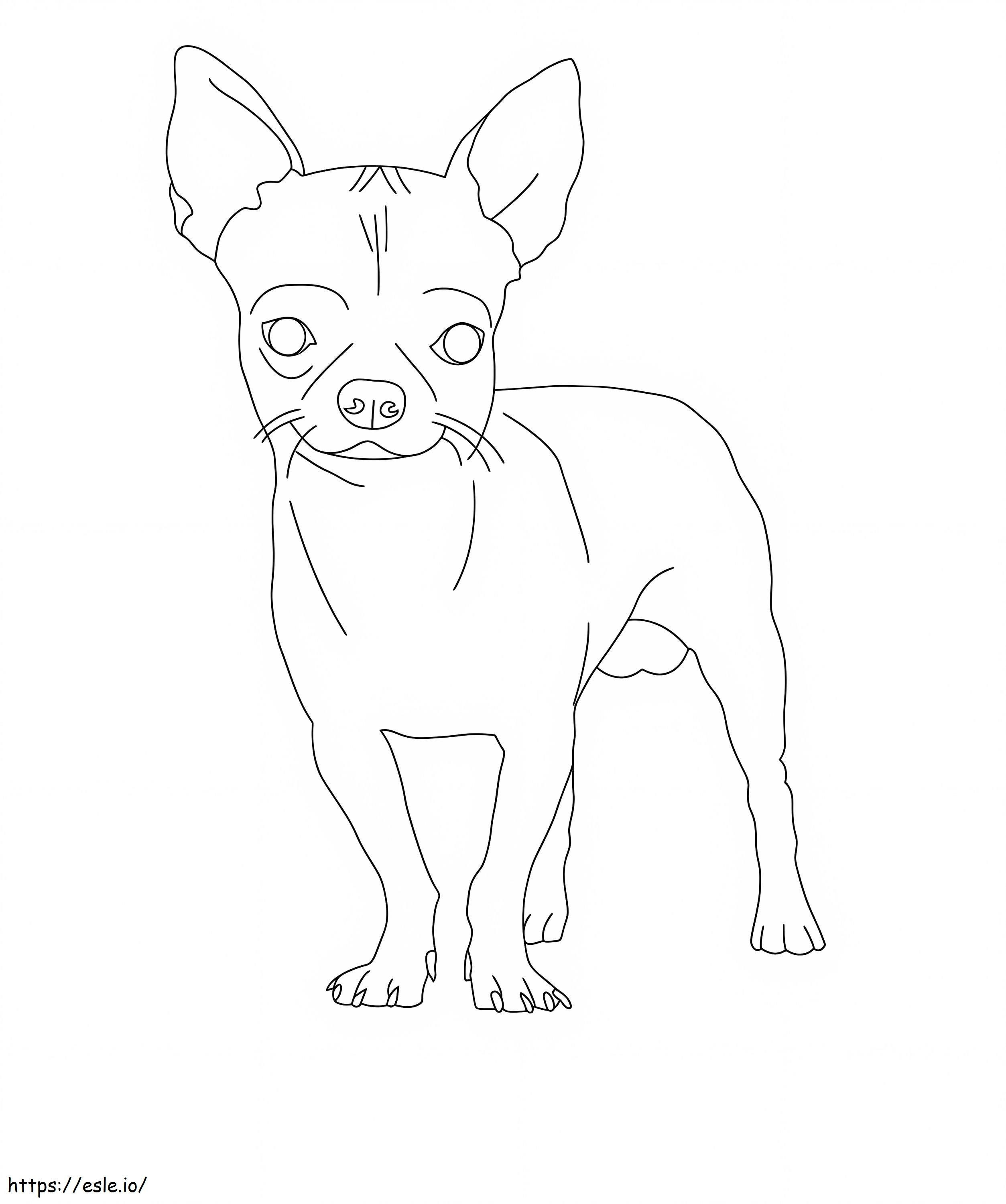 Chihuahua yang menggemaskan Gambar Mewarnai